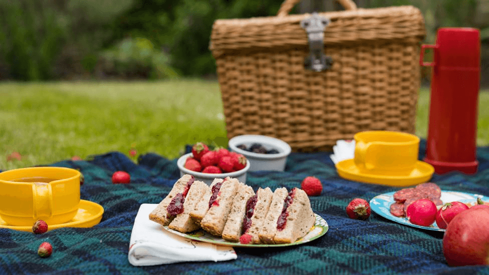 Picnic at the Park Picnic at the Park