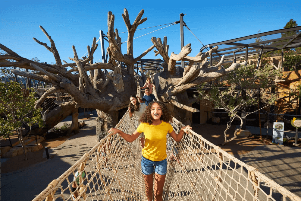 Best Playground In San Diego Best Playground In San Diego