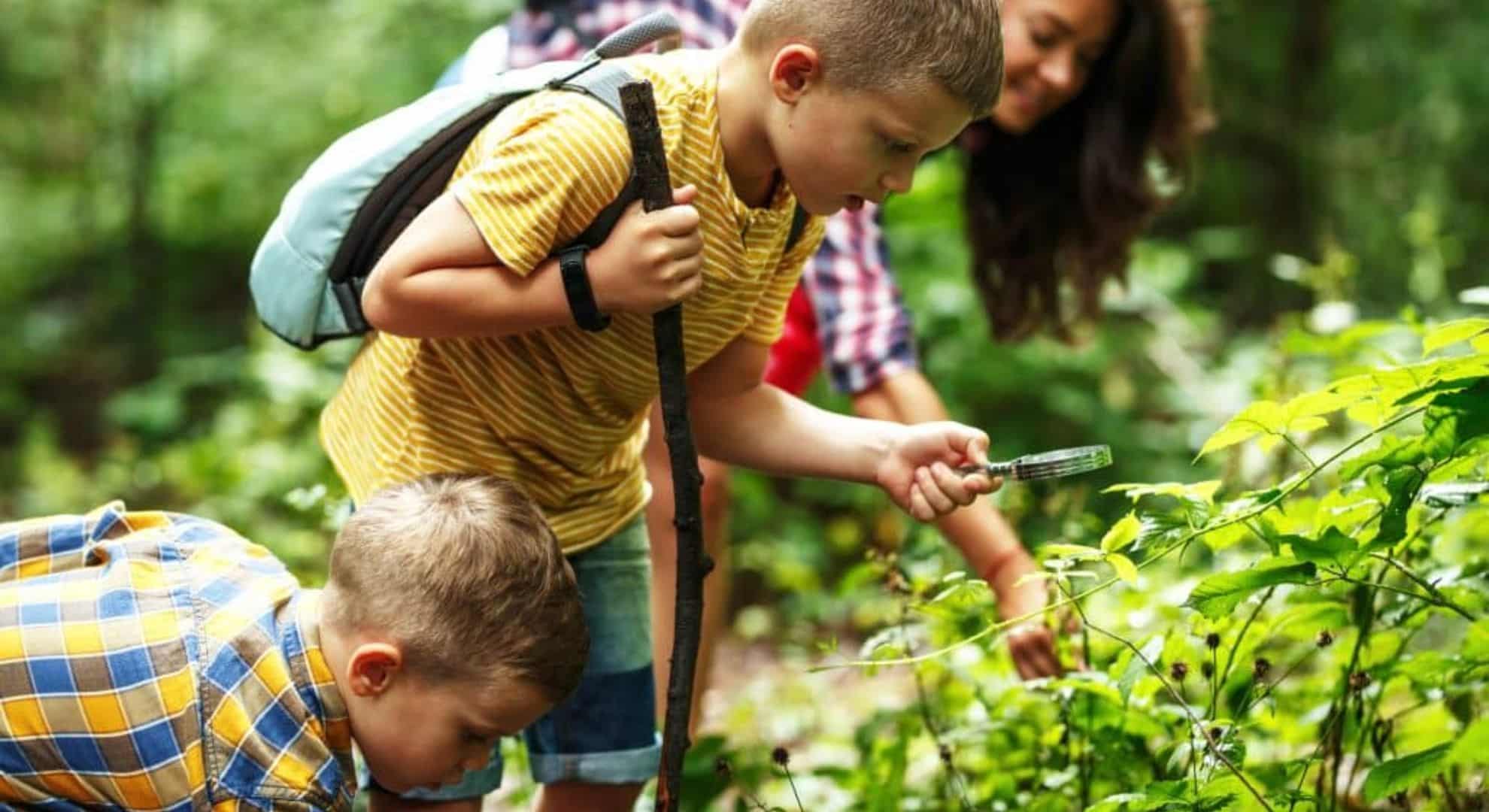 Explore a Nature Trail Fun Things to Do on Weekends With Kids Explore a Nature Trail Fun Things to Do on Weekends With Kids