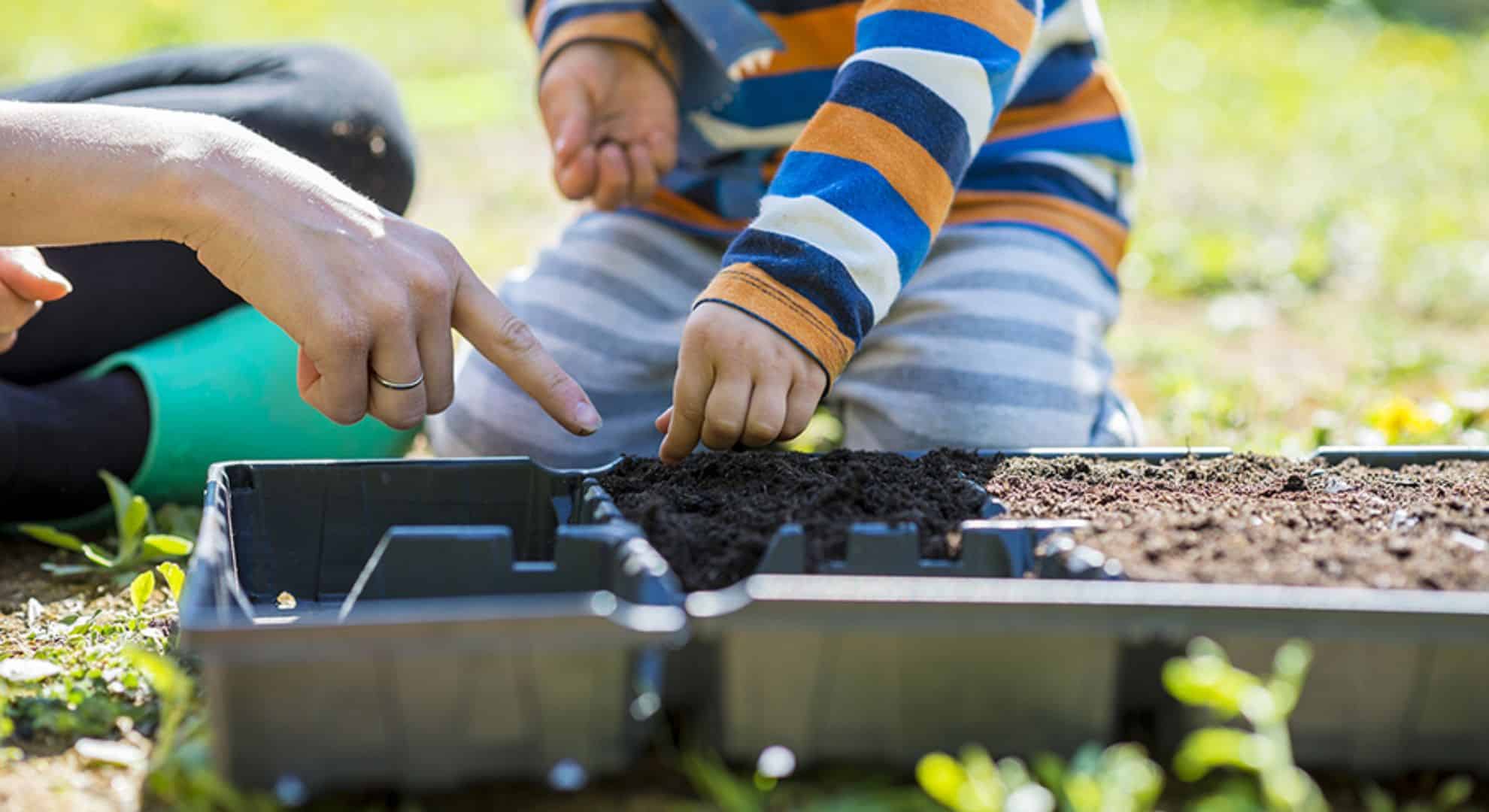Plant a Mini Garden Things to Do on a Weekend With Kids Plant a Mini Garden Things to Do on a Weekend With Kids